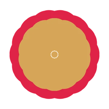 A layered cosmos rosette with 14-fold radial symmetry and 2 alternating rings of petals.