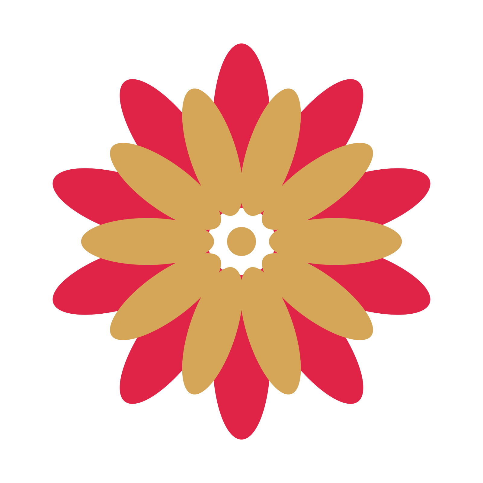 A layered daisy rosette with 10-fold radial symmetry and 2 alternating rings of petals.
