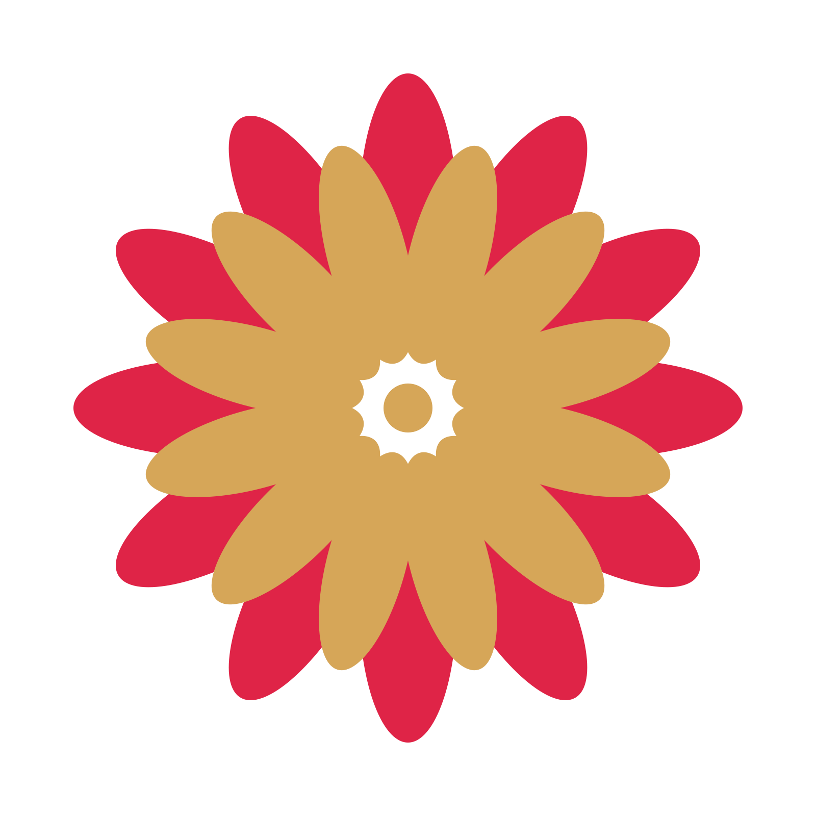 A layered daisy rosette with 12-fold radial symmetry and 2 alternating rings of petals.