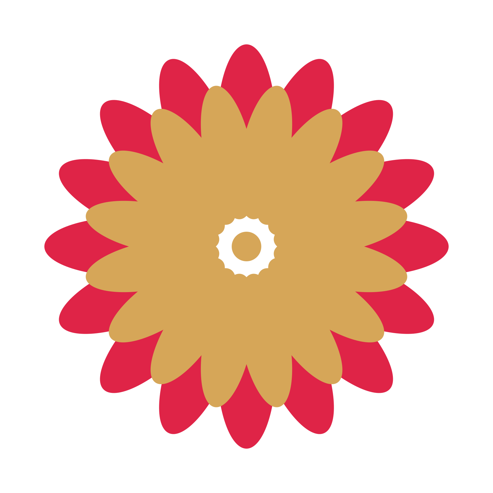 A layered daisy rosette with 16-fold radial symmetry and 2 alternating rings of petals.