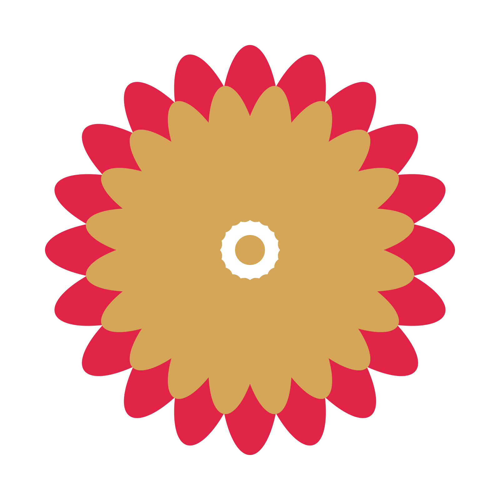 A layered daisy rosette with 20-fold radial symmetry and 2 alternating rings of petals.