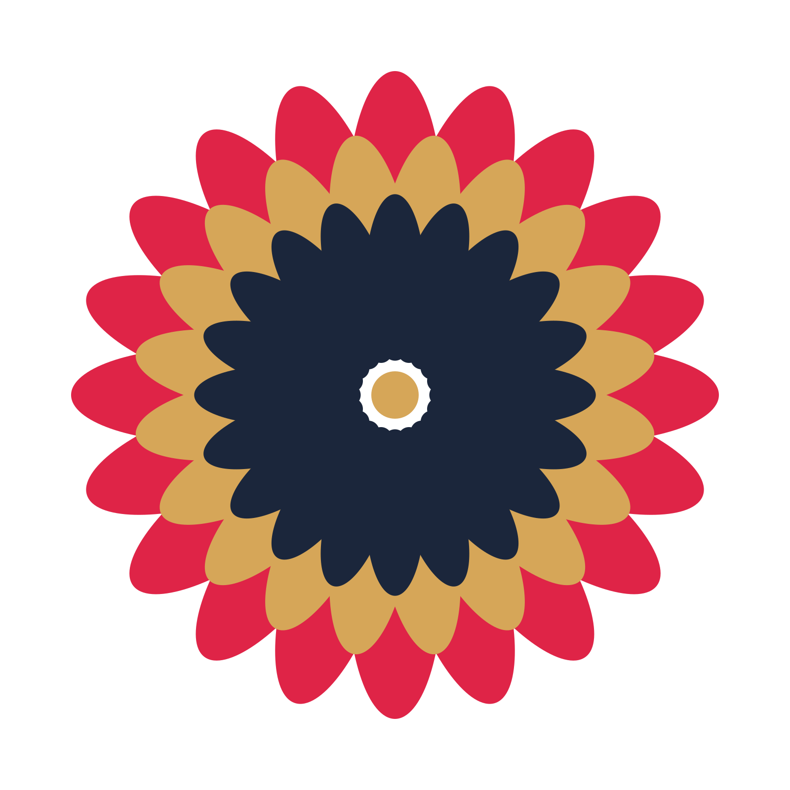 A layered daisy rosette with 20-fold radial symmetry and 3 alternating rings of petals.