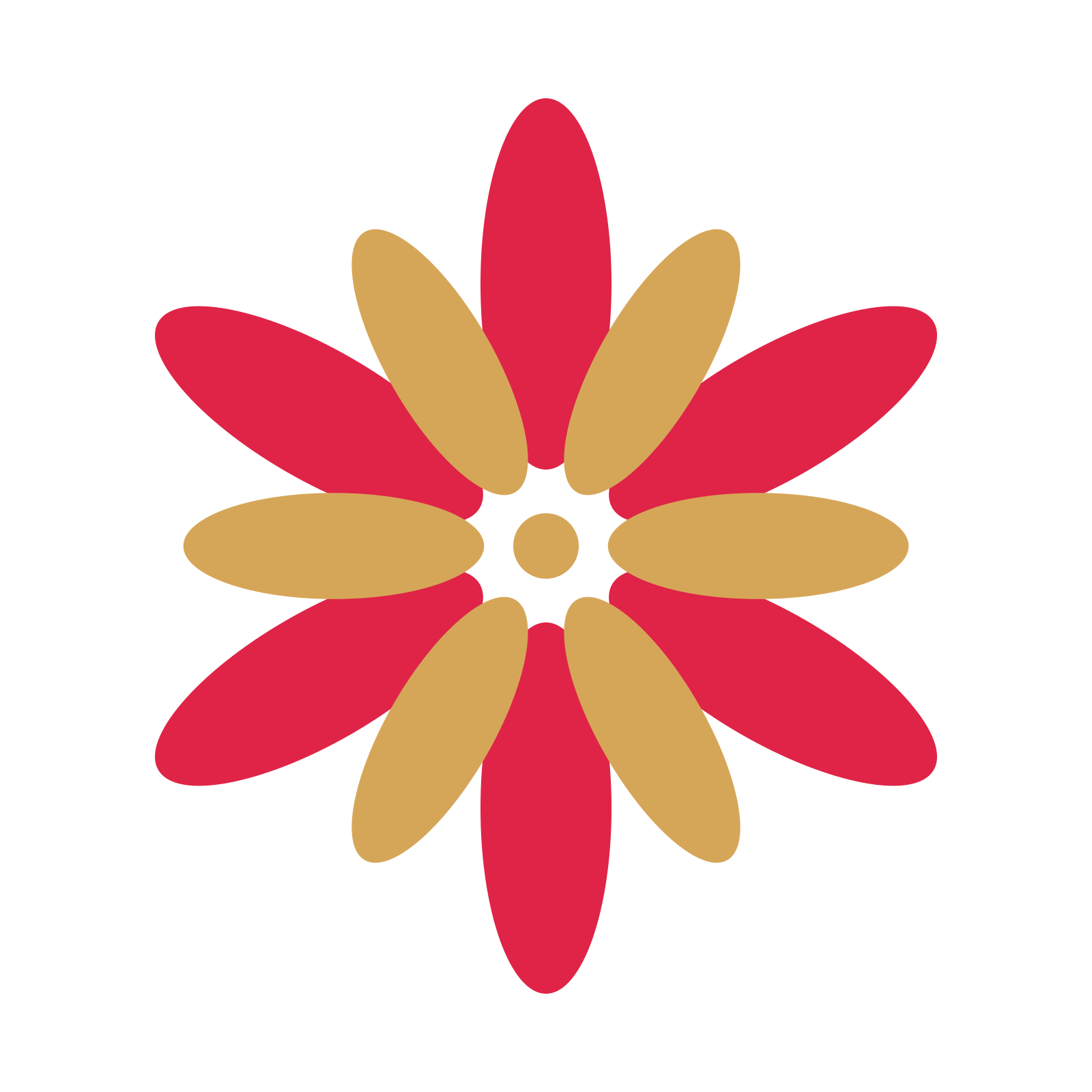 A layered daisy rosette with 6-fold radial symmetry and 2 alternating rings of petals.