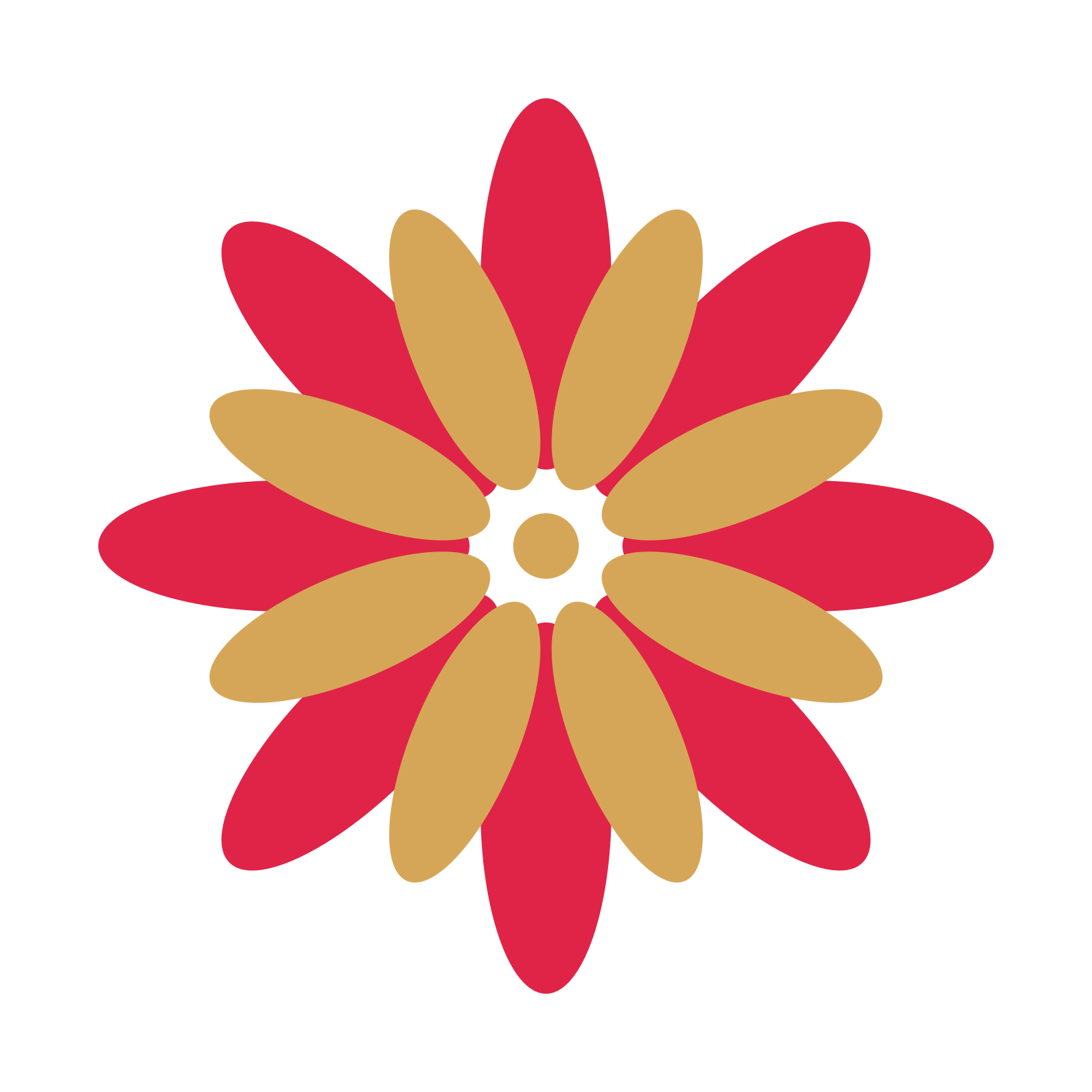 A layered daisy rosette with 8-fold radial symmetry and 2 alternating rings of petals.