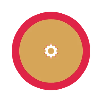 A layered fan rosette with 10-fold radial symmetry and 2 alternating rings of petals.