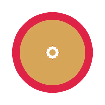 A layered fan rosette with 12-fold radial symmetry and 2 alternating rings of petals.