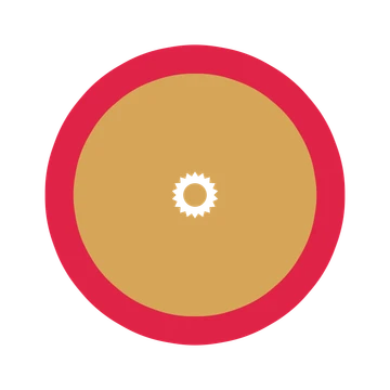 A layered fan rosette with 18-fold radial symmetry and 2 alternating rings of petals.