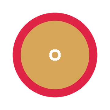 A layered fan rosette with 20-fold radial symmetry and 2 alternating rings of petals.