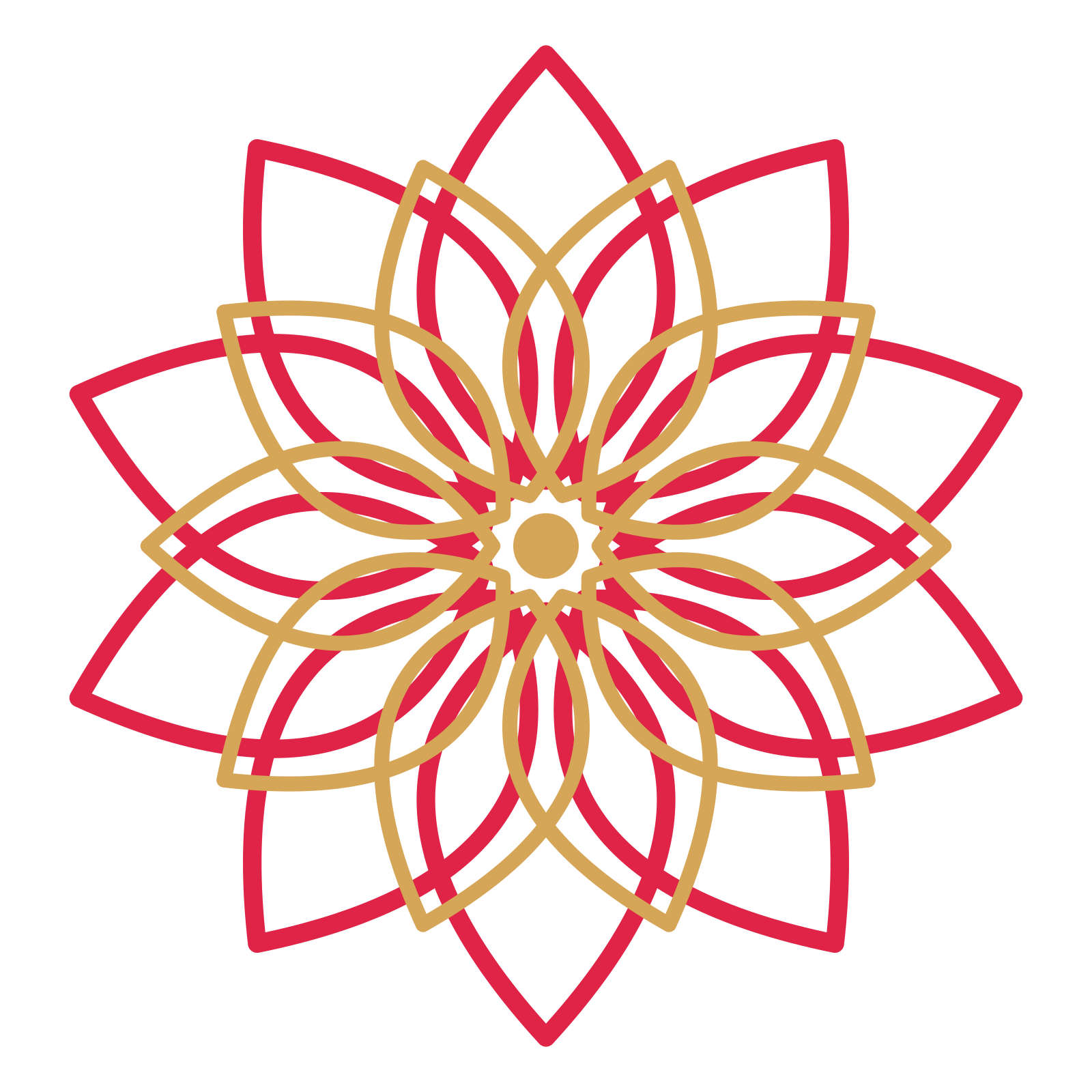 A layered lily rosette with 10-fold radial symmetry and 2 alternating rings of petals.