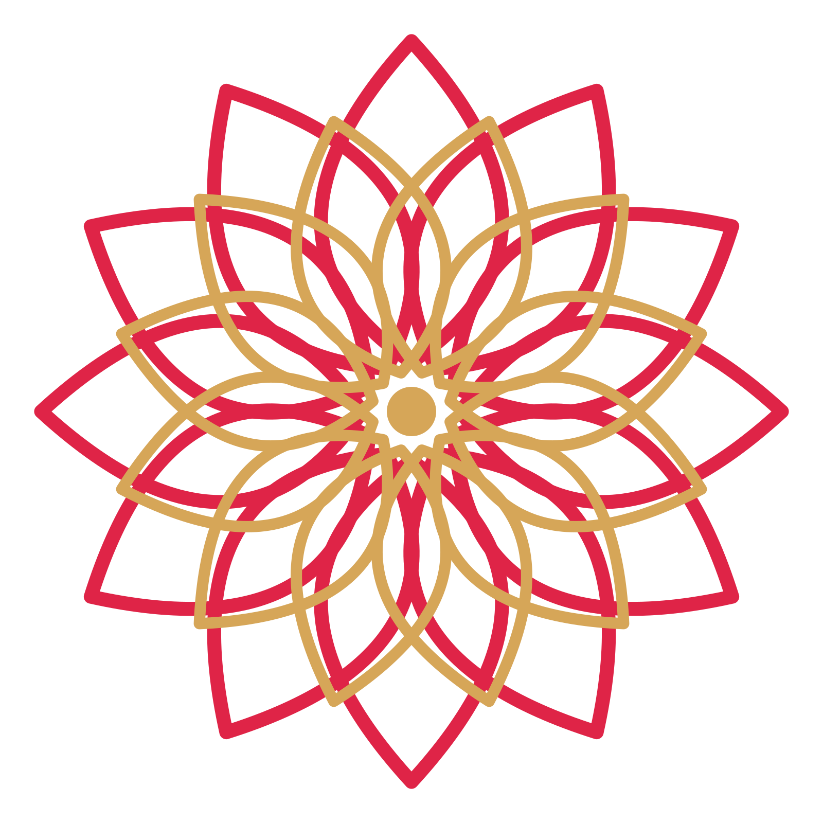 A layered lily rosette with 12-fold radial symmetry and 2 alternating rings of petals.