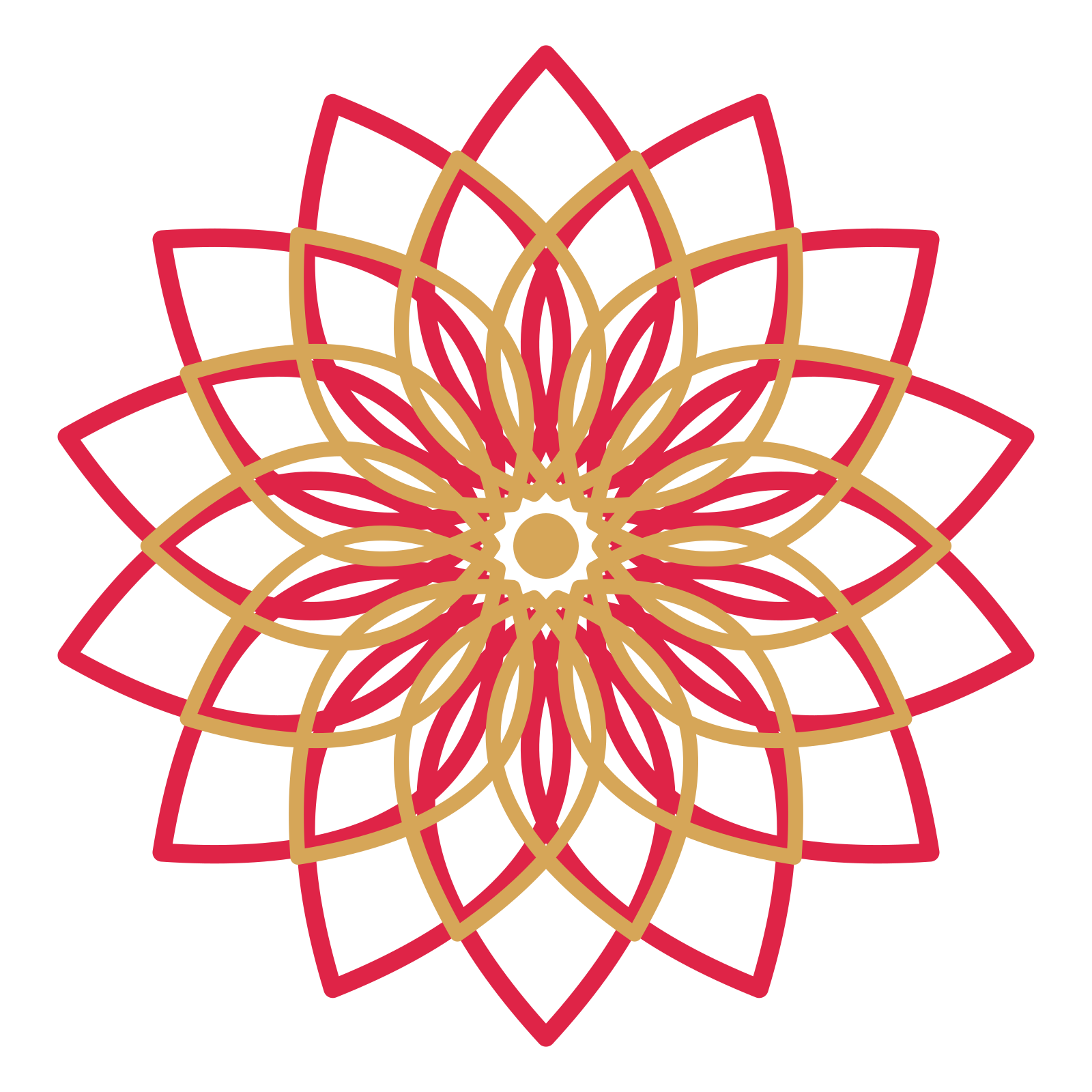 A layered lily rosette with 14-fold radial symmetry and 2 alternating rings of petals.