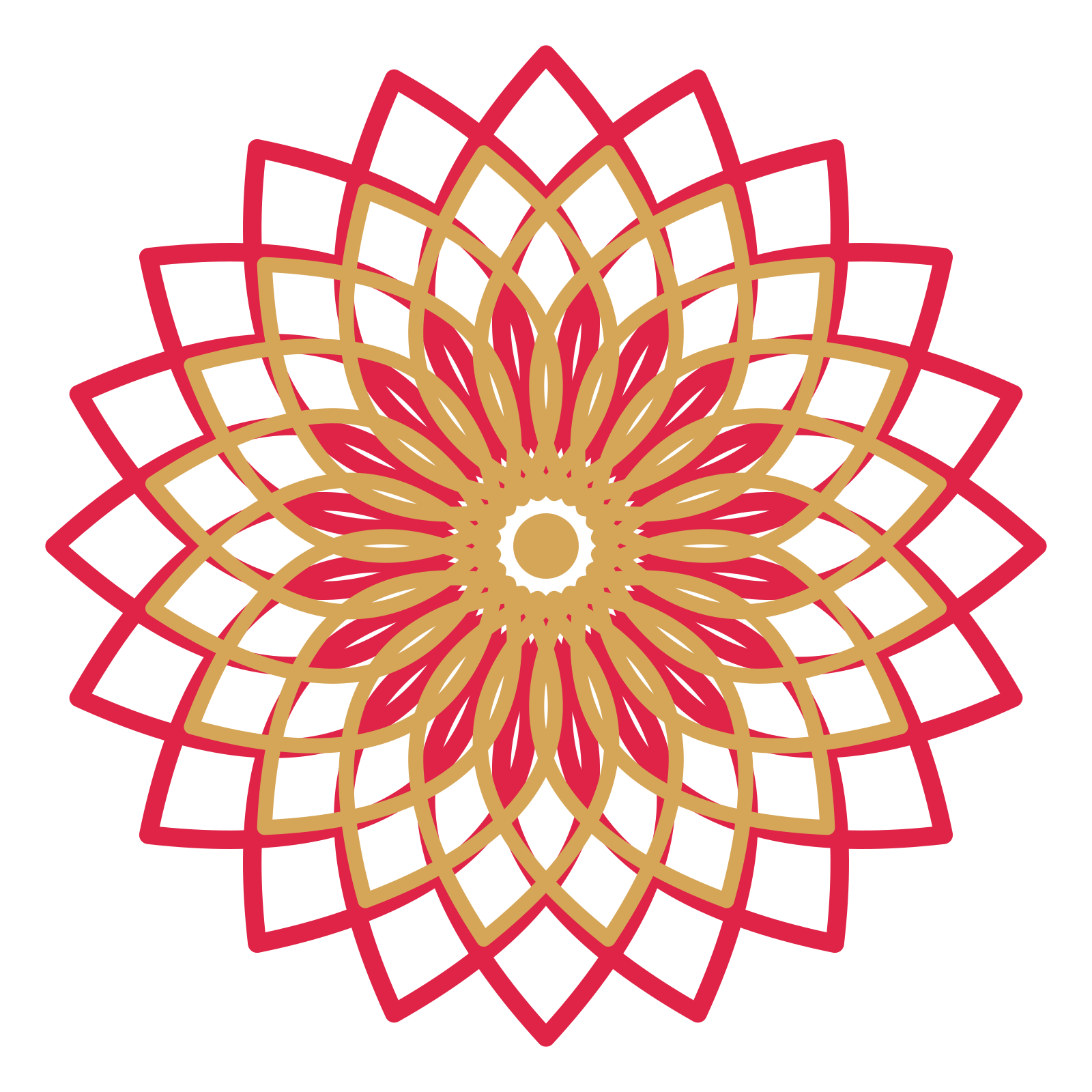A layered lily rosette with 20-fold radial symmetry and 2 alternating rings of petals.