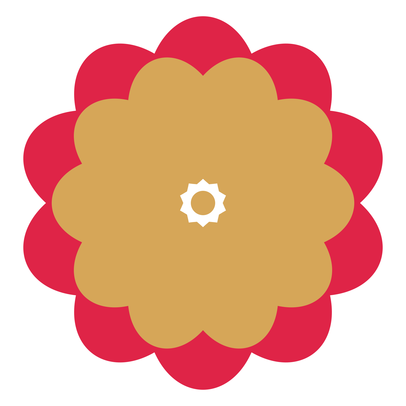 A layered lobed rosette with 10-fold radial symmetry and 2 alternating rings of petals.