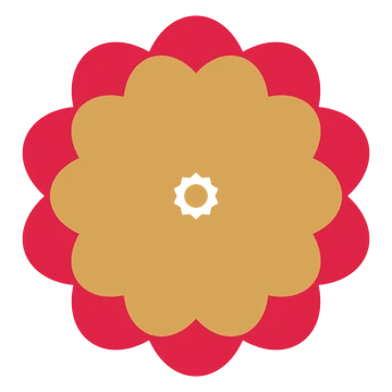 A layered lobed rosette with 10-fold radial symmetry and 2 alternating rings of petals.