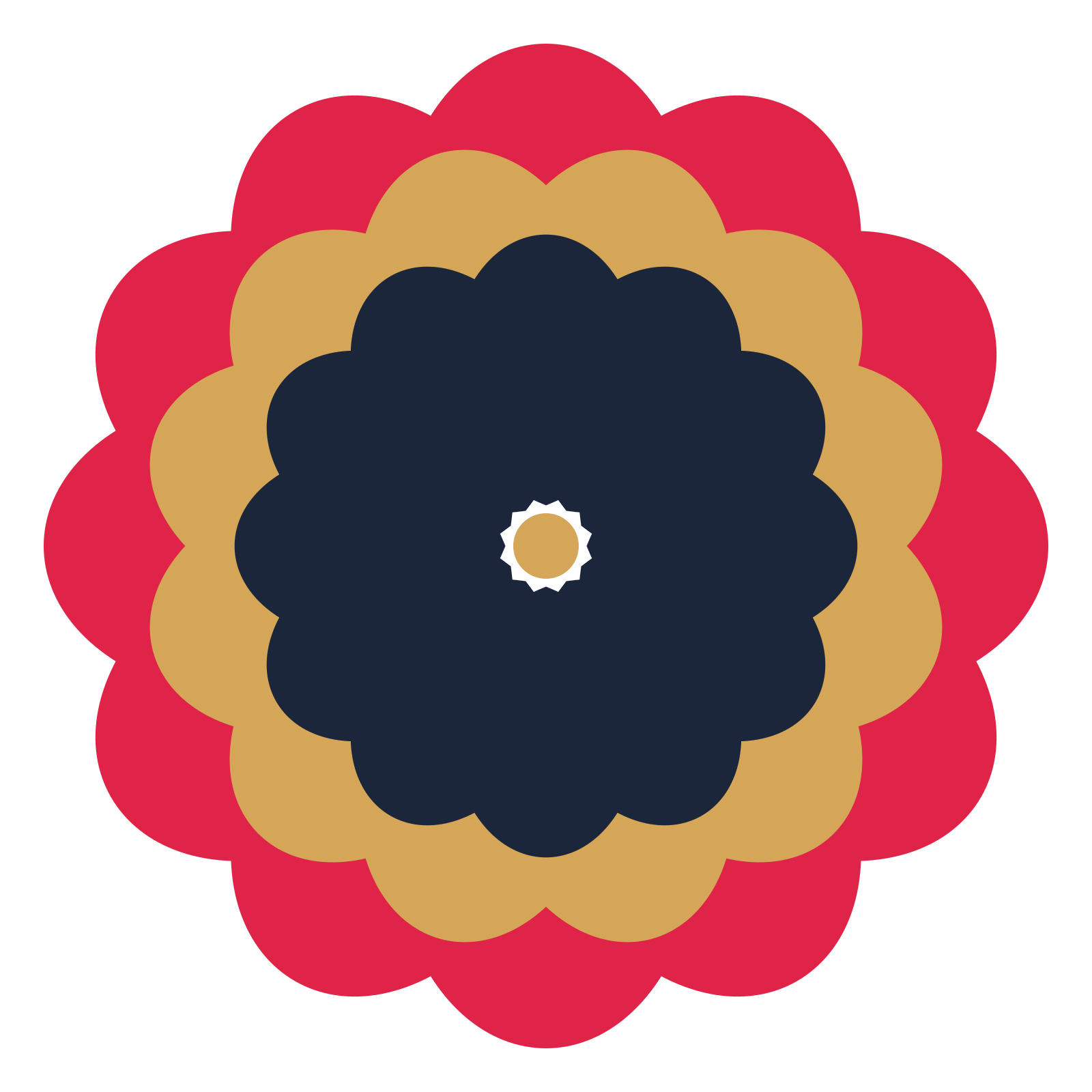 A layered lobed rosette with 12-fold radial symmetry and 3 alternating rings of petals.
