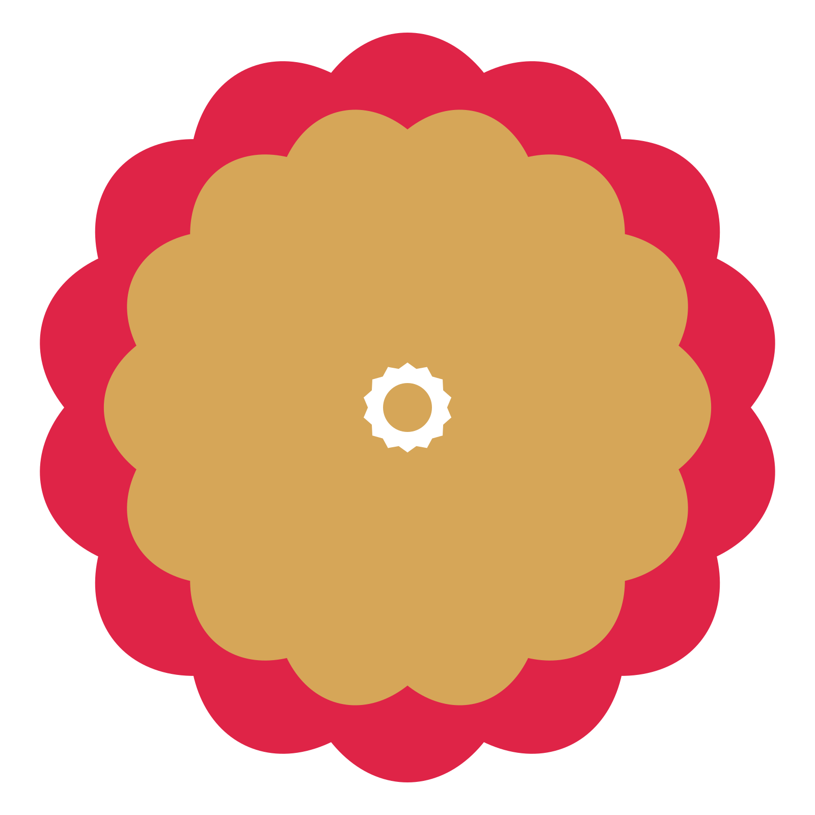 A layered lobed rosette with 14-fold radial symmetry and 2 alternating rings of petals.