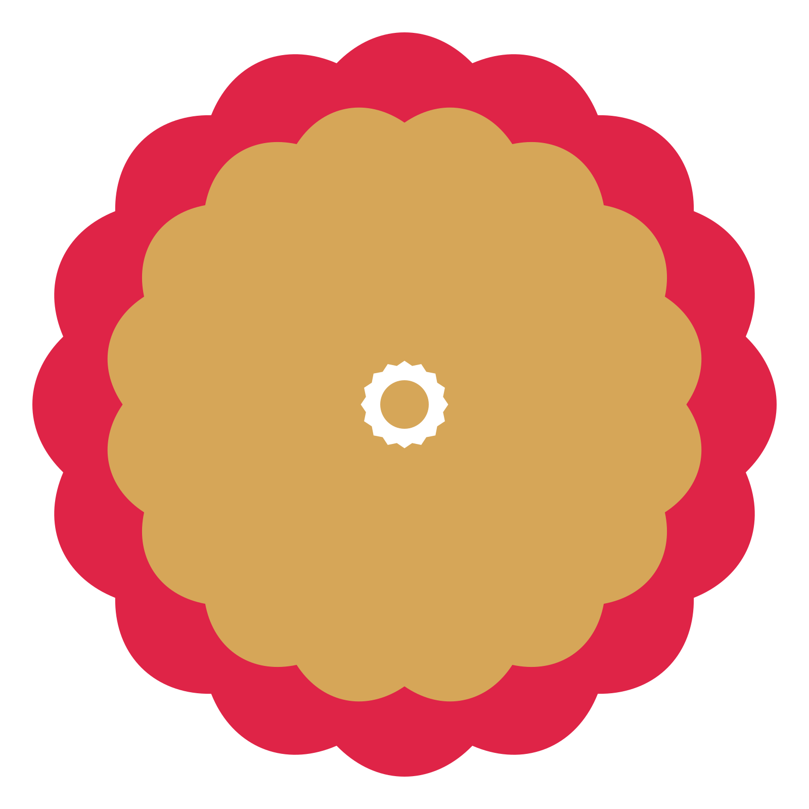 A layered lobed rosette with 16-fold radial symmetry and 2 alternating rings of petals.