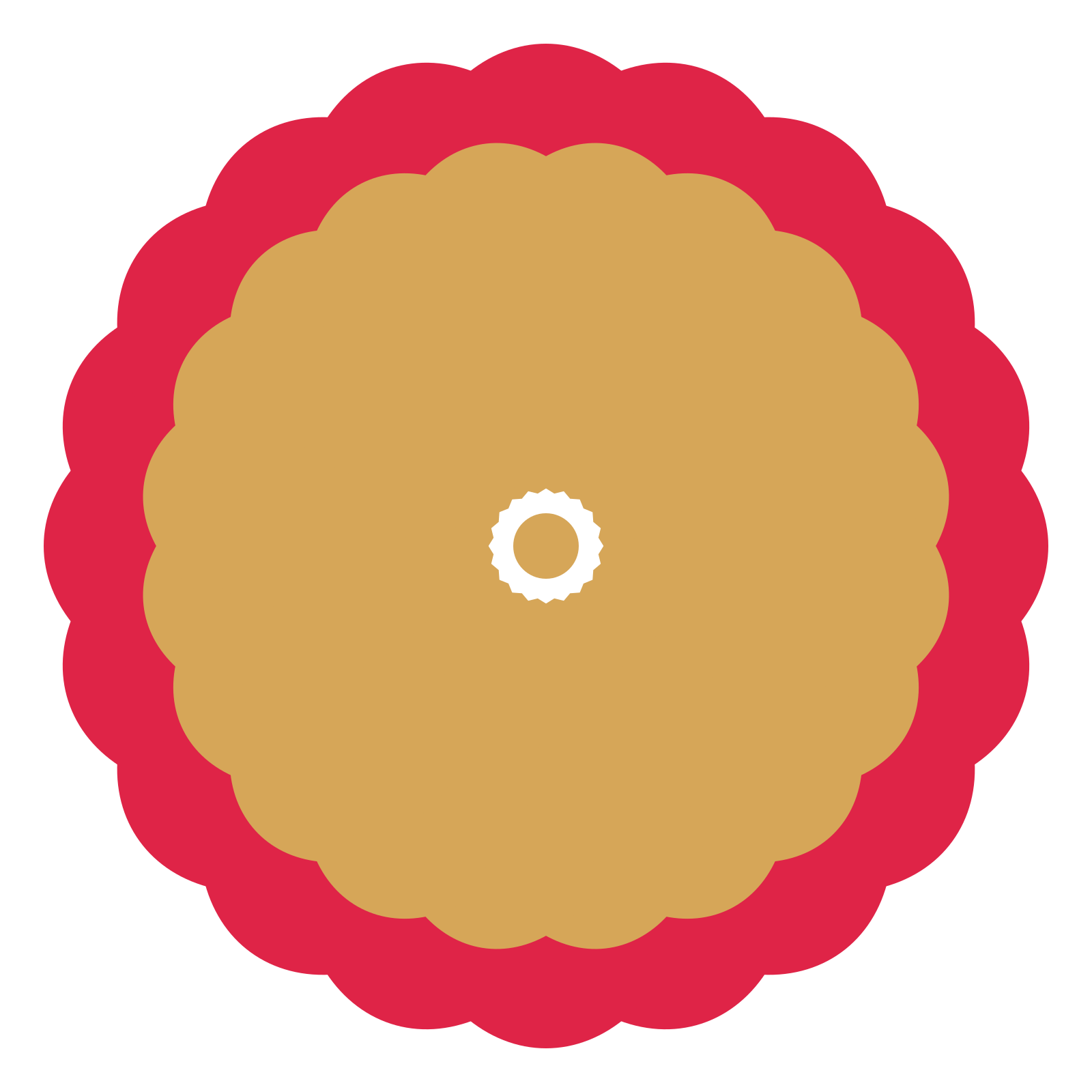 A layered lobed rosette with 20-fold radial symmetry and 2 alternating rings of petals.