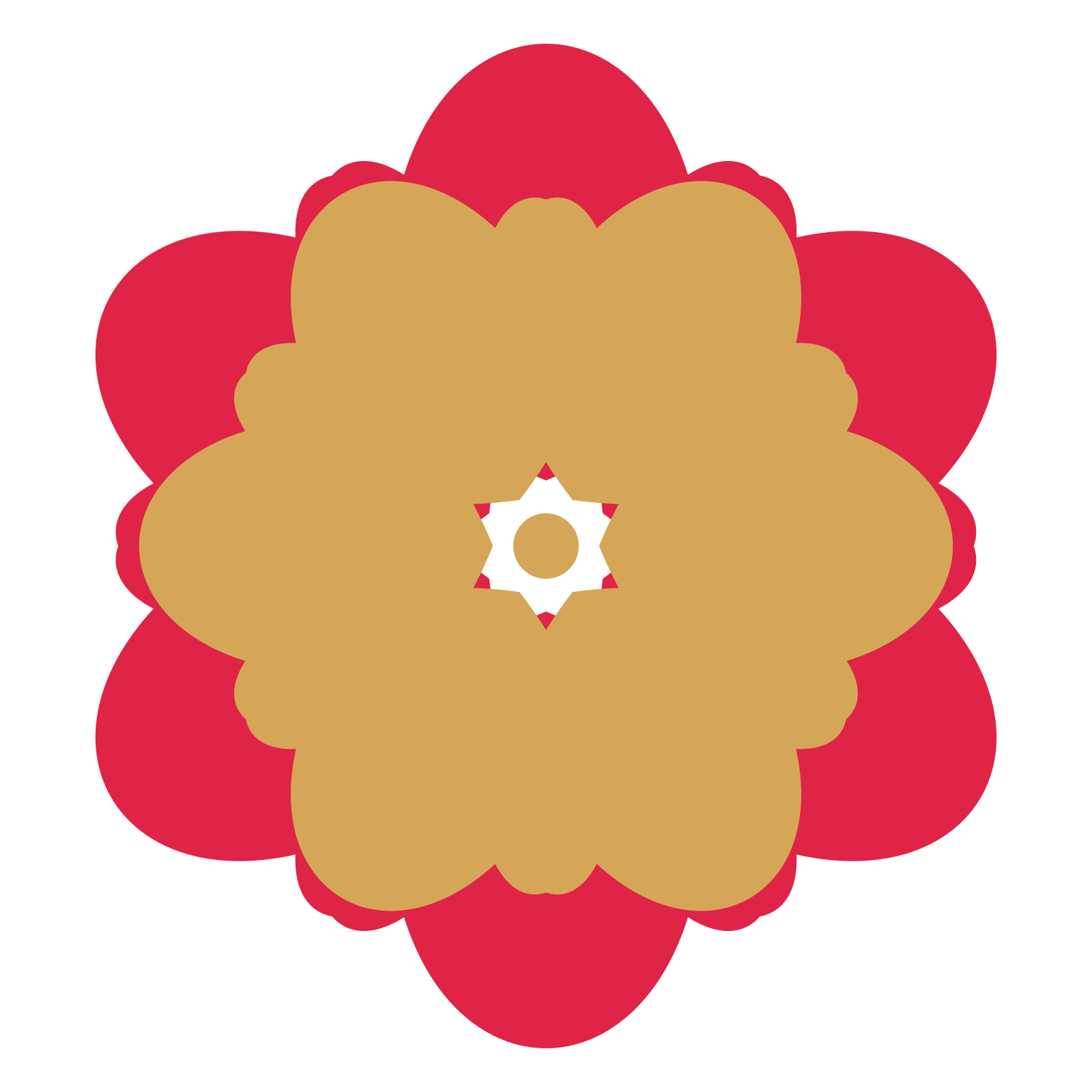 A layered lobed rosette with 6-fold radial symmetry and 2 alternating rings of petals.