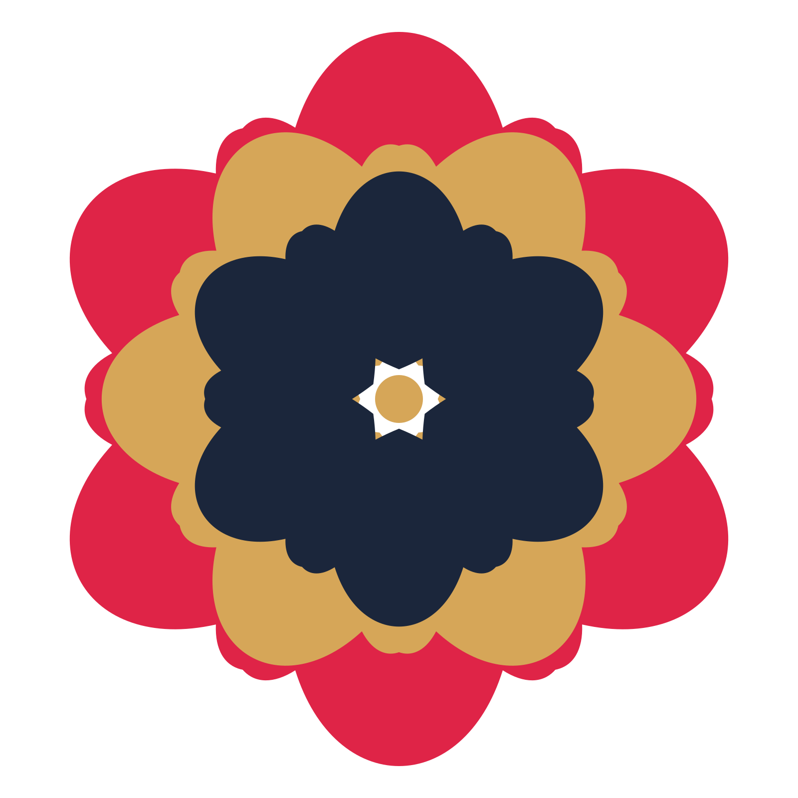 A layered lobed rosette with 6-fold radial symmetry and 3 alternating rings of petals.
