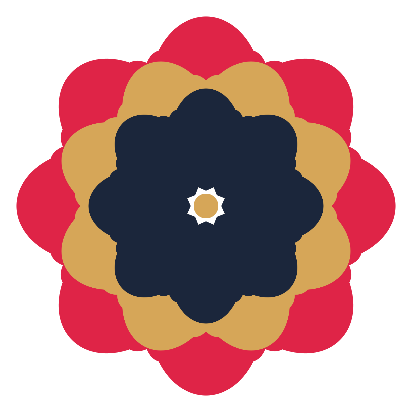 A layered lobed rosette with 8-fold radial symmetry and 3 alternating rings of petals.