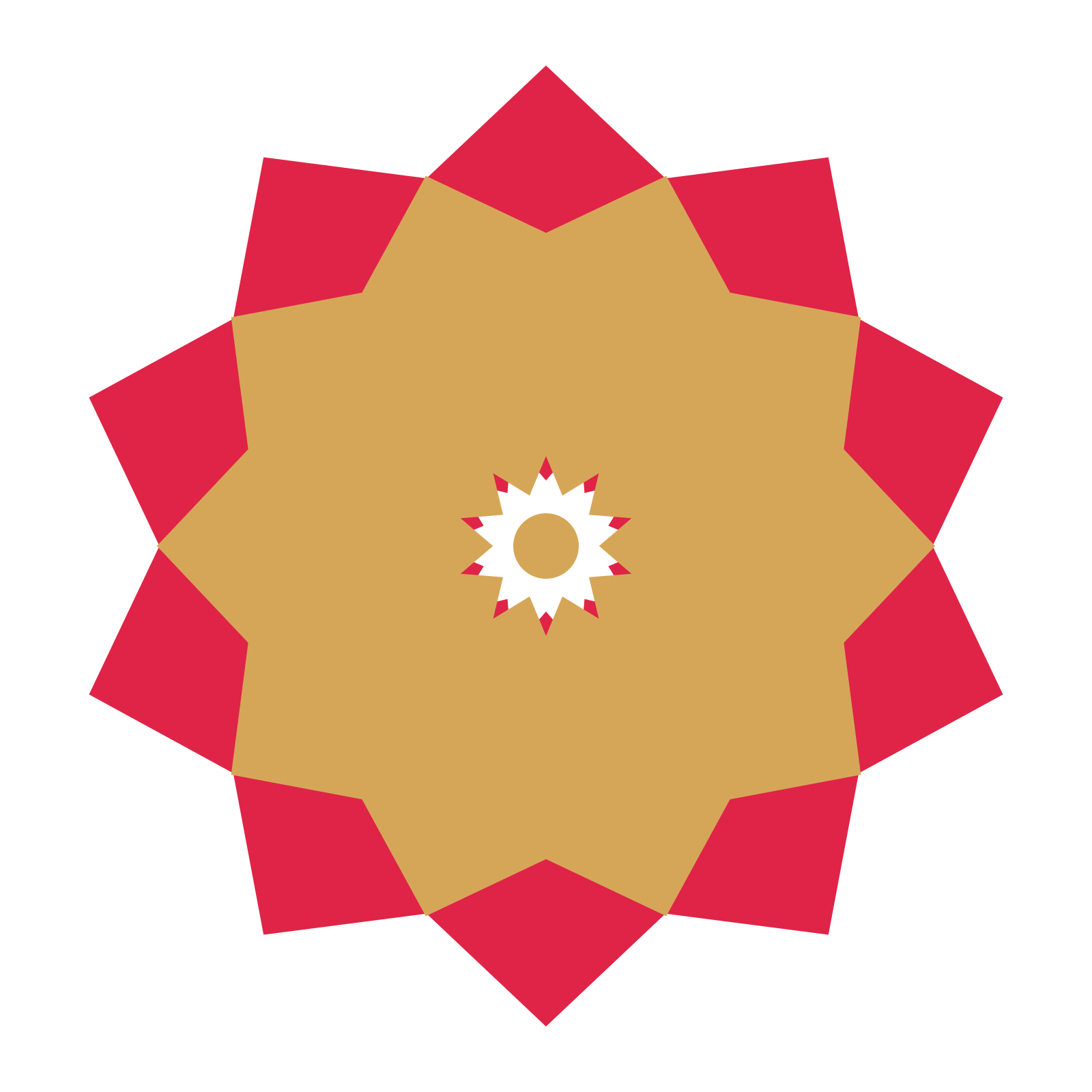 A layered pointed rosette with 10-fold radial symmetry and 2 alternating rings of petals.