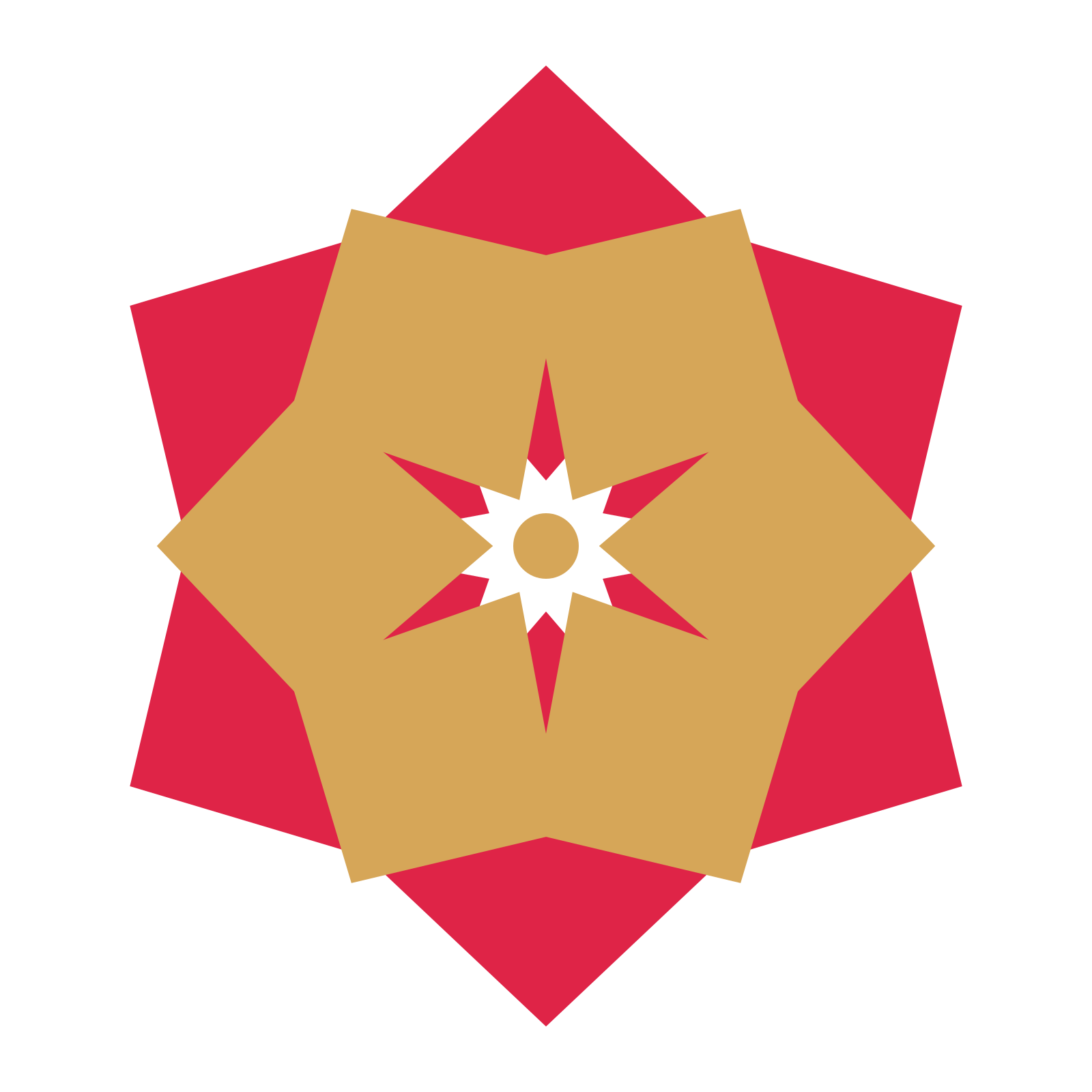 A layered pointed rosette with 6-fold radial symmetry and 2 alternating rings of petals.