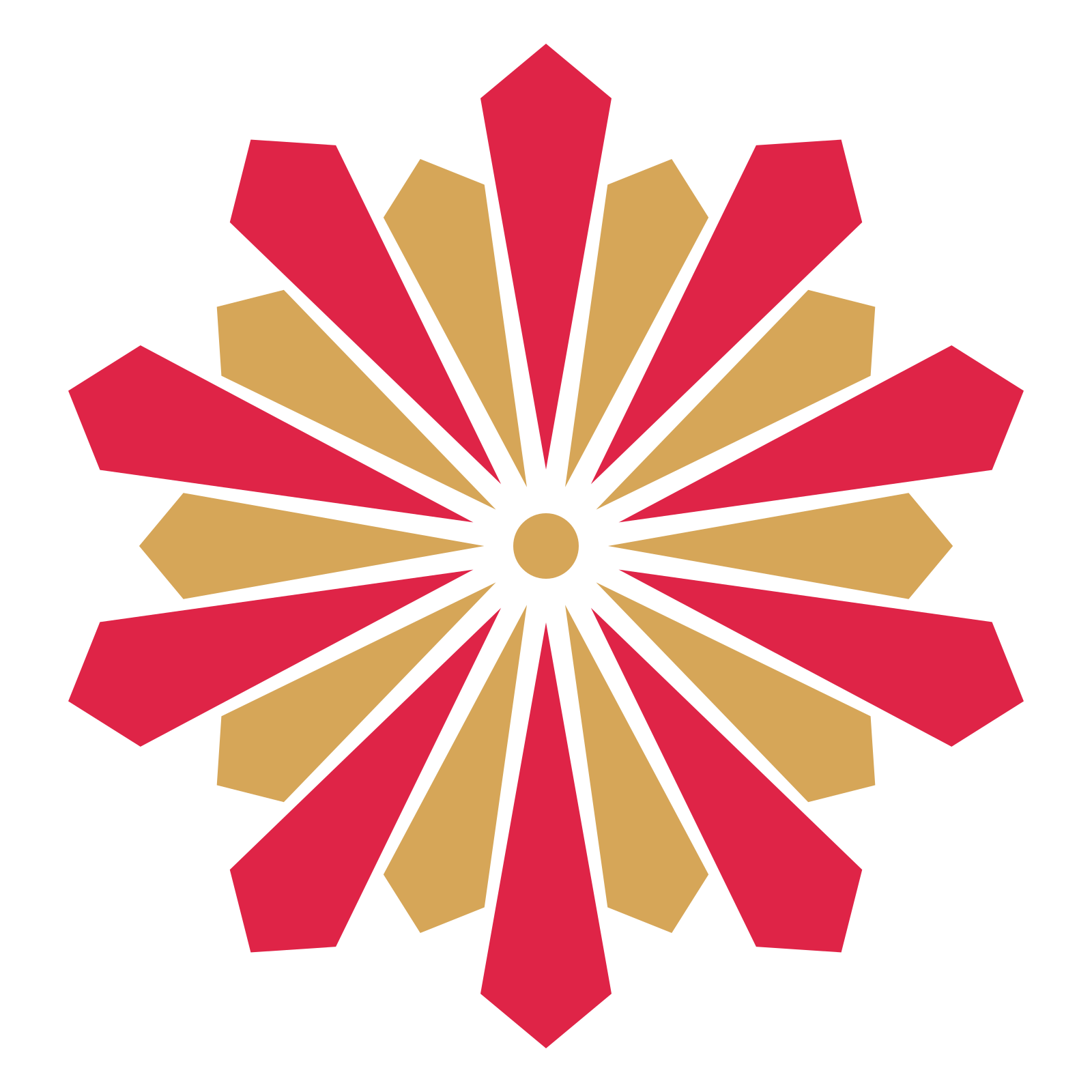 A layered ray rosette with 10-fold radial symmetry and 2 alternating rings of petals.