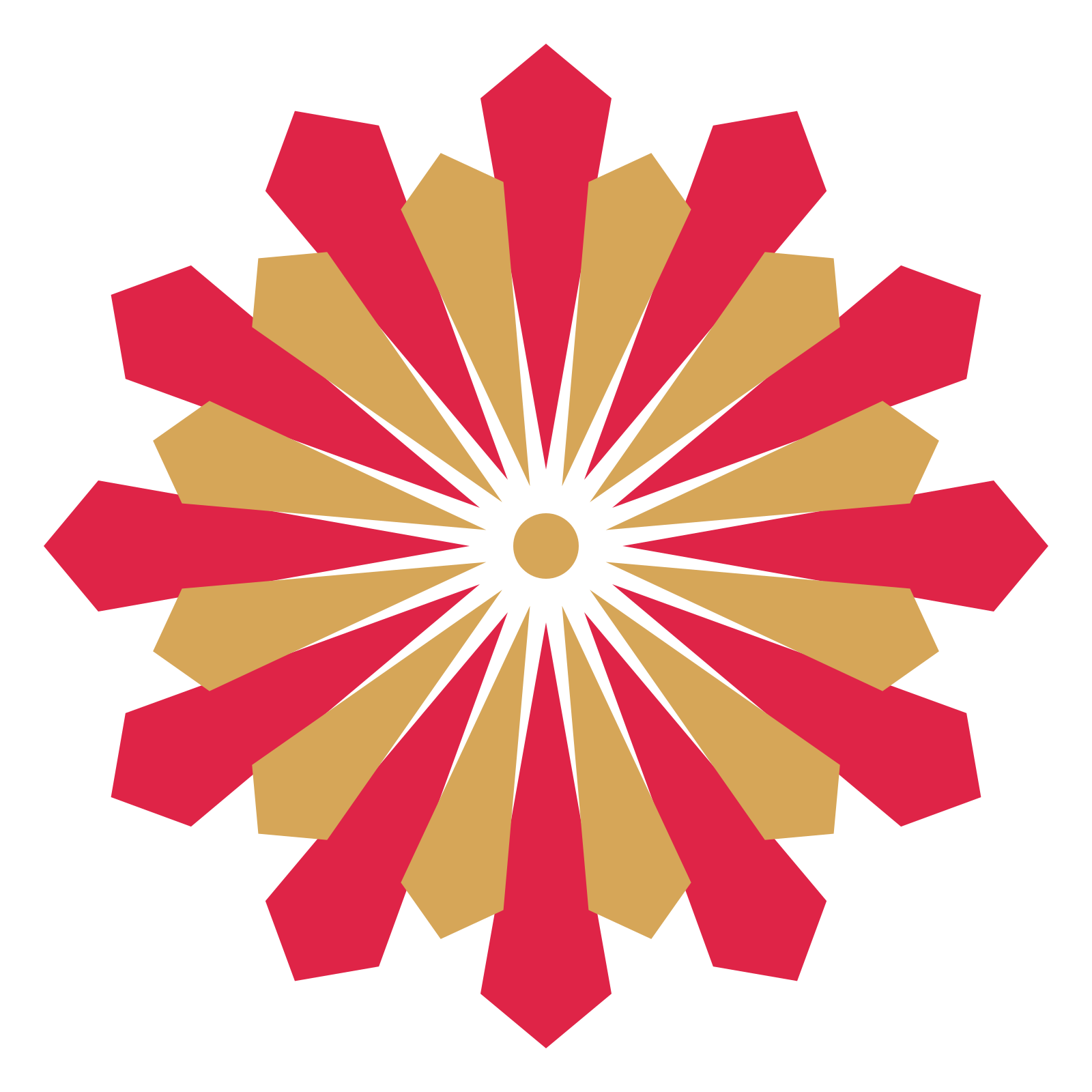 A layered ray rosette with 12-fold radial symmetry and 2 alternating rings of petals.