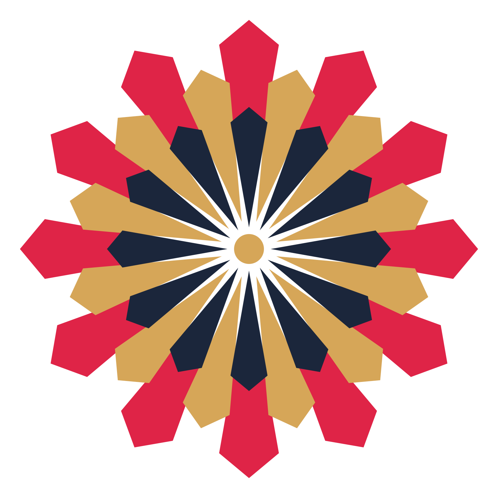 A layered ray rosette with 12-fold radial symmetry and 3 alternating rings of petals.