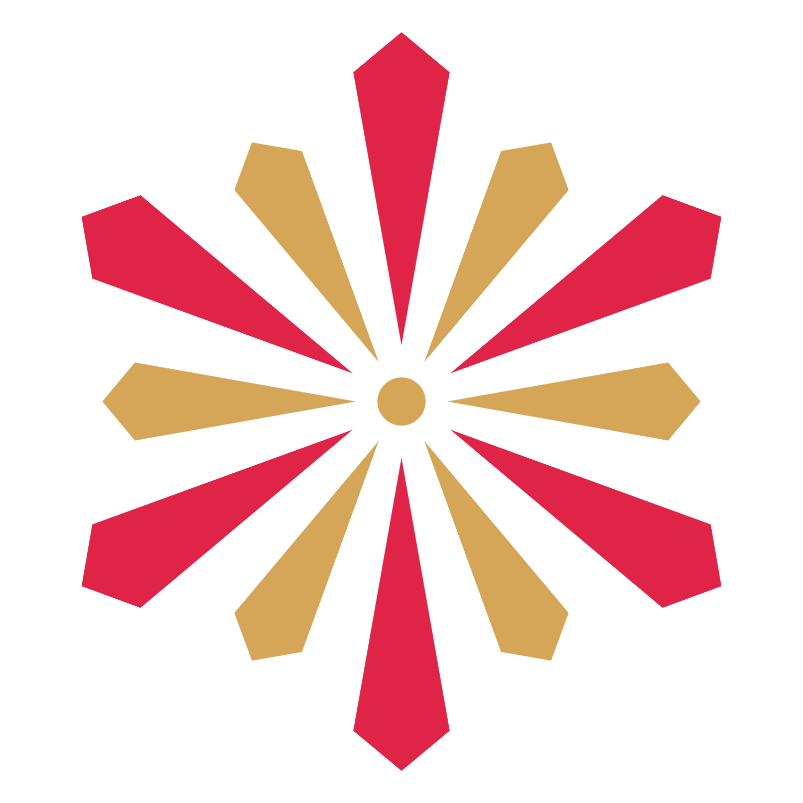 A layered ray rosette with 6-fold radial symmetry and 2 alternating rings of petals.