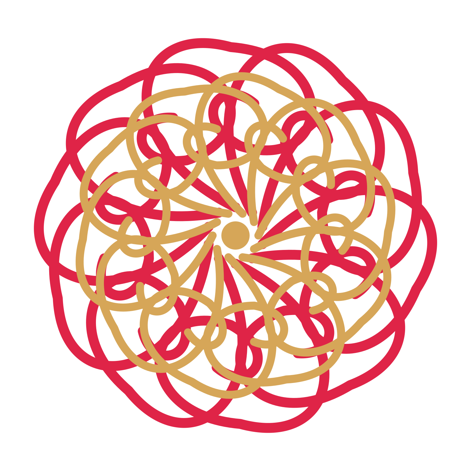 A layered spiral rosette with 10-fold radial symmetry and 2 alternating rings of petals.