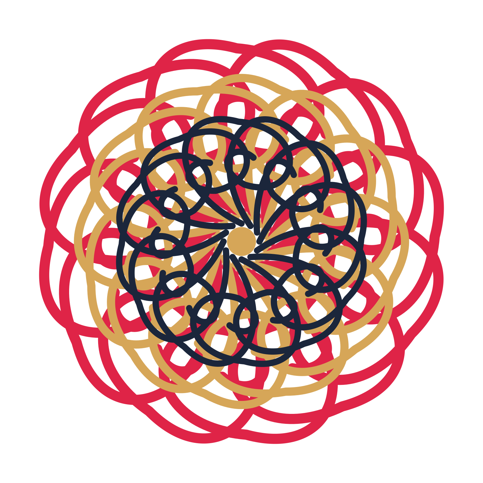 A layered spiral rosette with 12-fold radial symmetry and 3 alternating rings of petals.