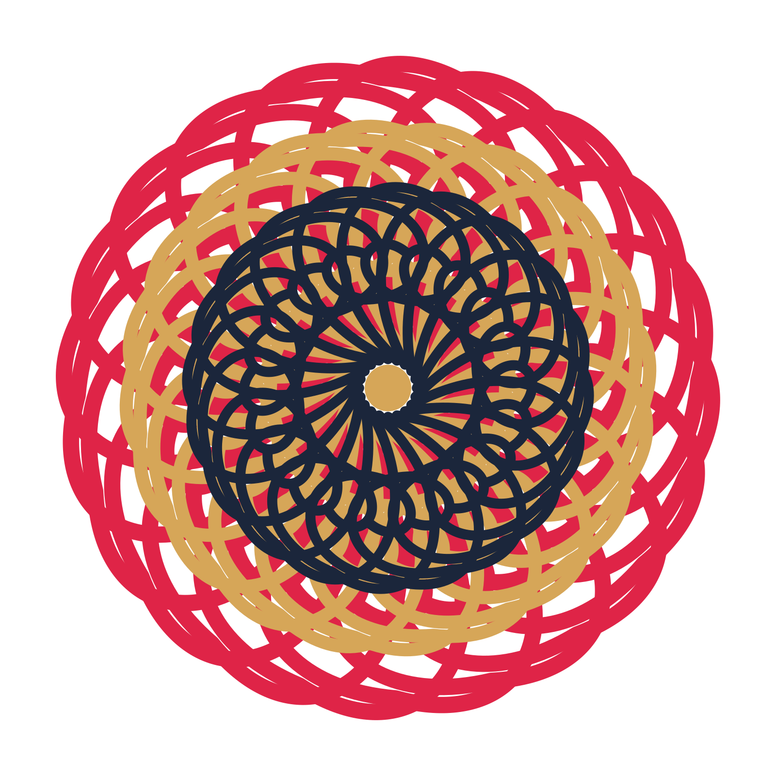 A layered spiral rosette with 20-fold radial symmetry and 3 alternating rings of petals.