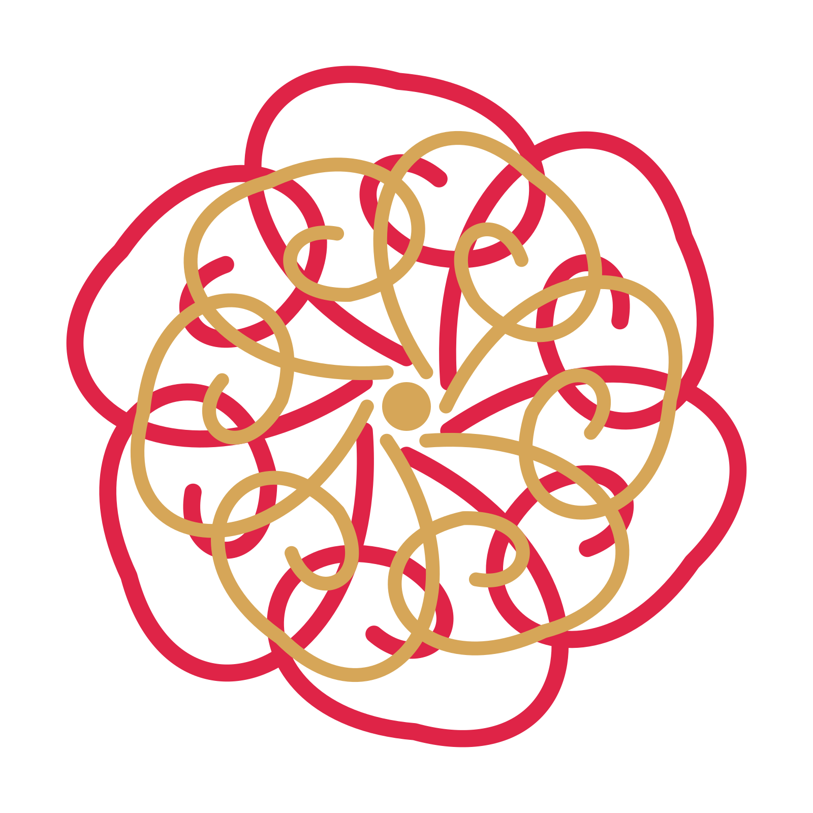A layered spiral rosette with 6-fold radial symmetry and 2 alternating rings of petals.