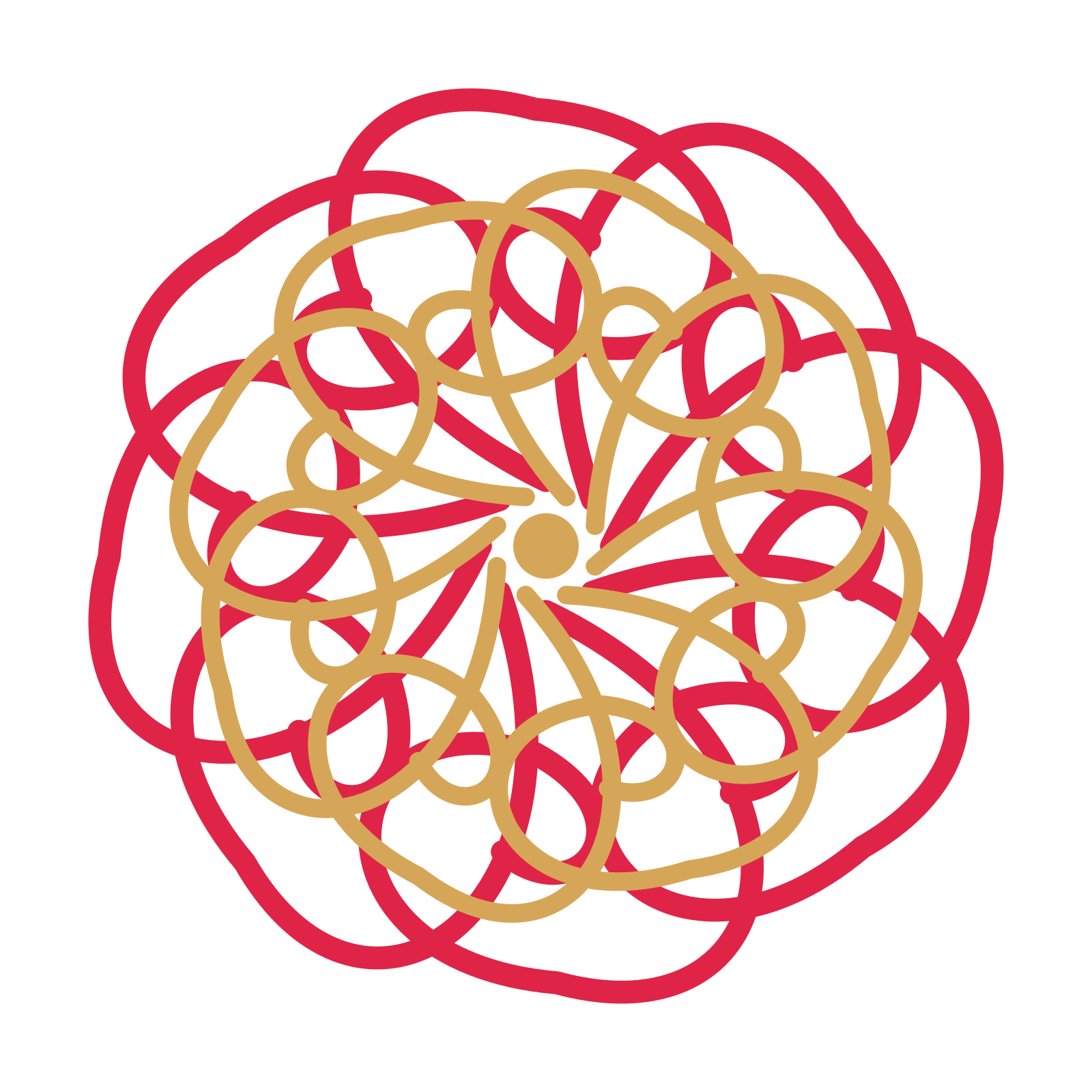 A layered spiral rosette with 8-fold radial symmetry and 2 alternating rings of petals.