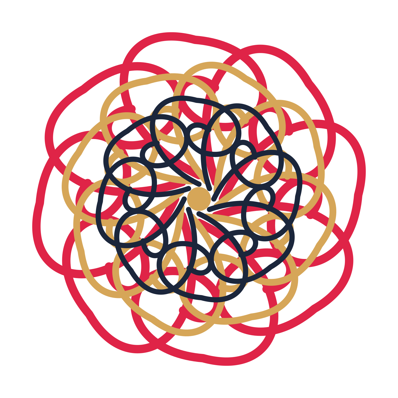 A layered spiral rosette with 8-fold radial symmetry and 3 alternating rings of petals.
