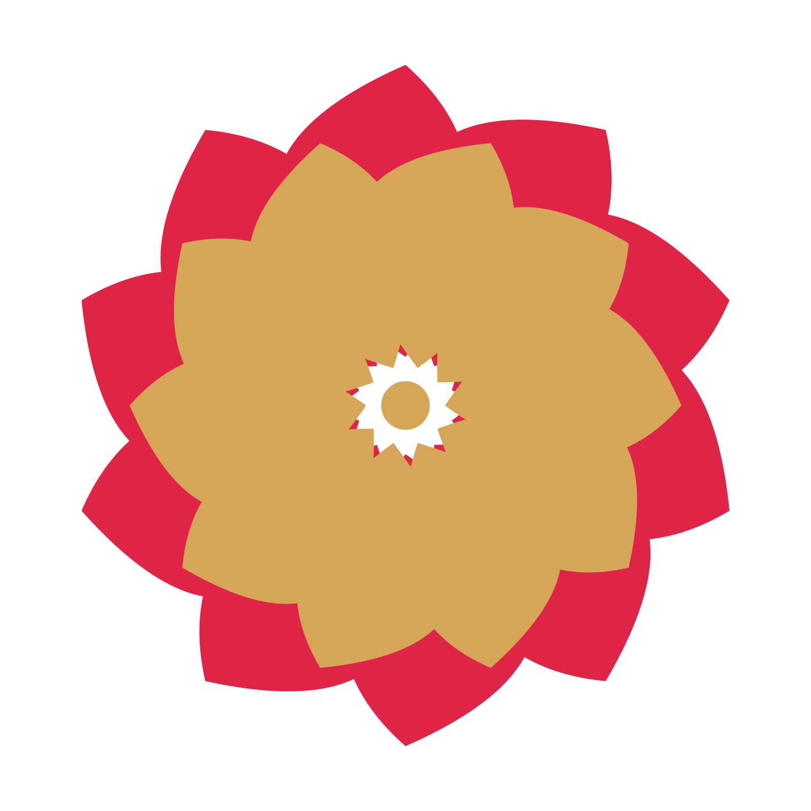 A layered teardrop rosette with 10-fold radial symmetry and 2 alternating rings of petals.