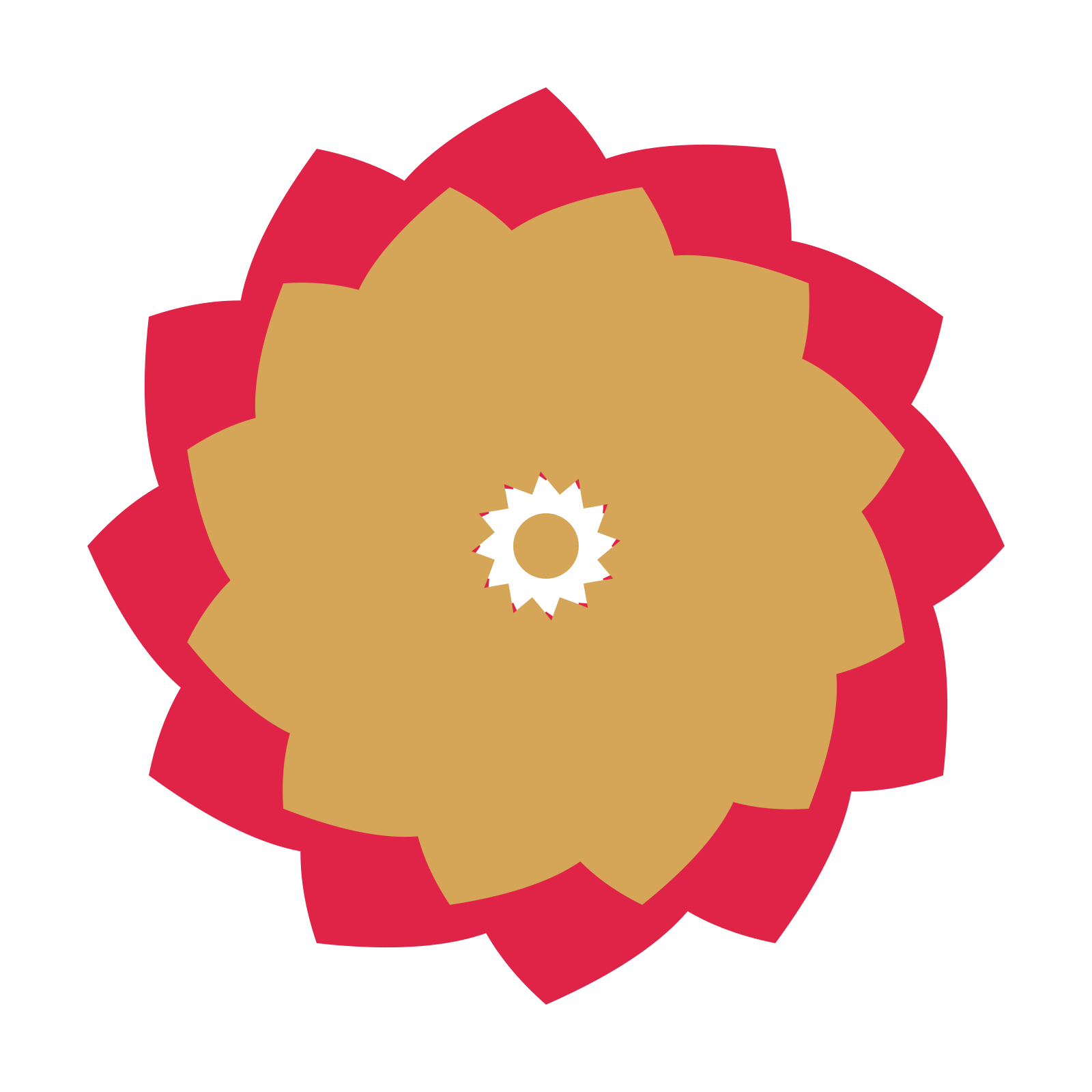 A layered teardrop rosette with 12-fold radial symmetry and 2 alternating rings of petals.