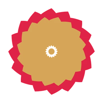 A layered teardrop rosette with 16-fold radial symmetry and 2 alternating rings of petals.