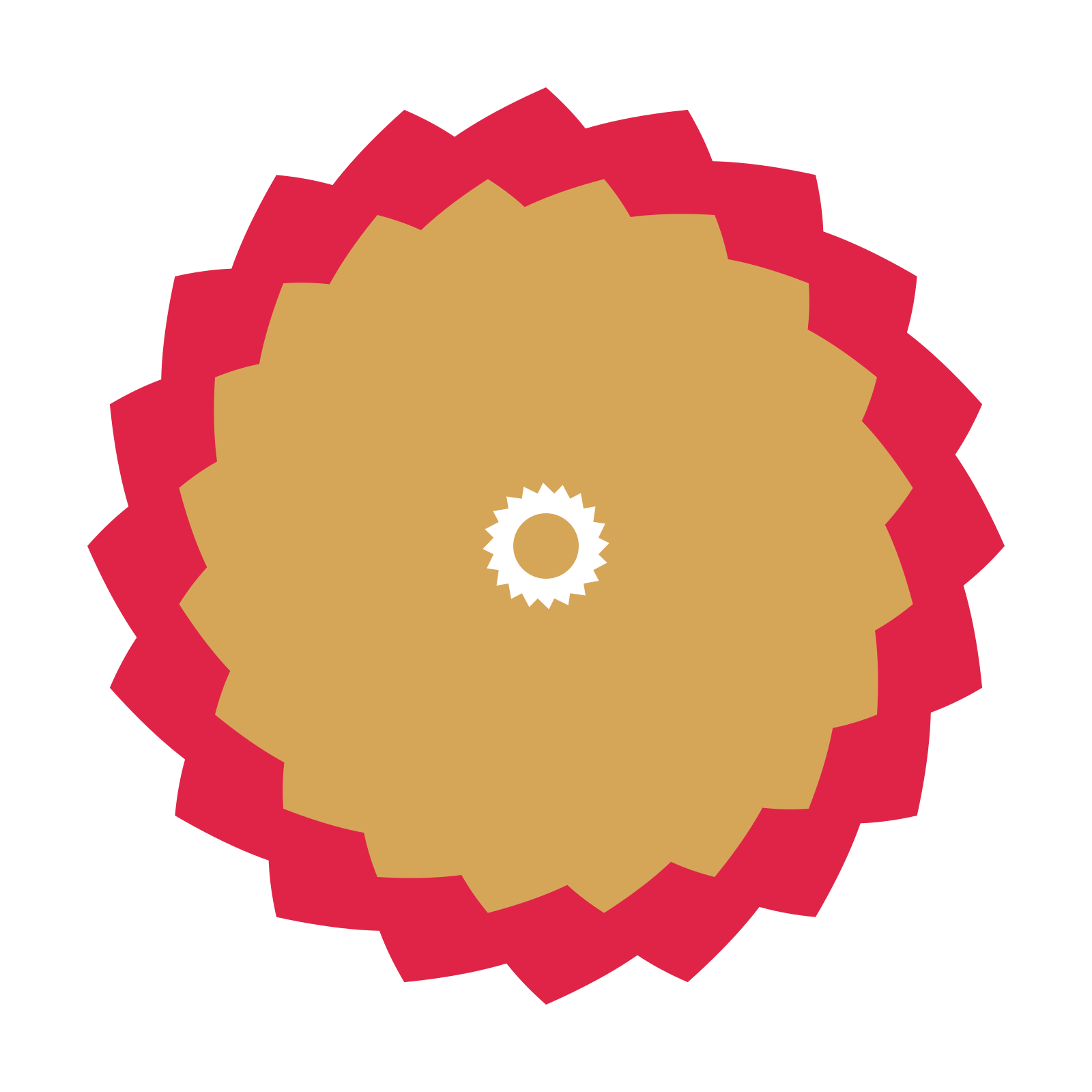 A layered teardrop rosette with 20-fold radial symmetry and 2 alternating rings of petals.