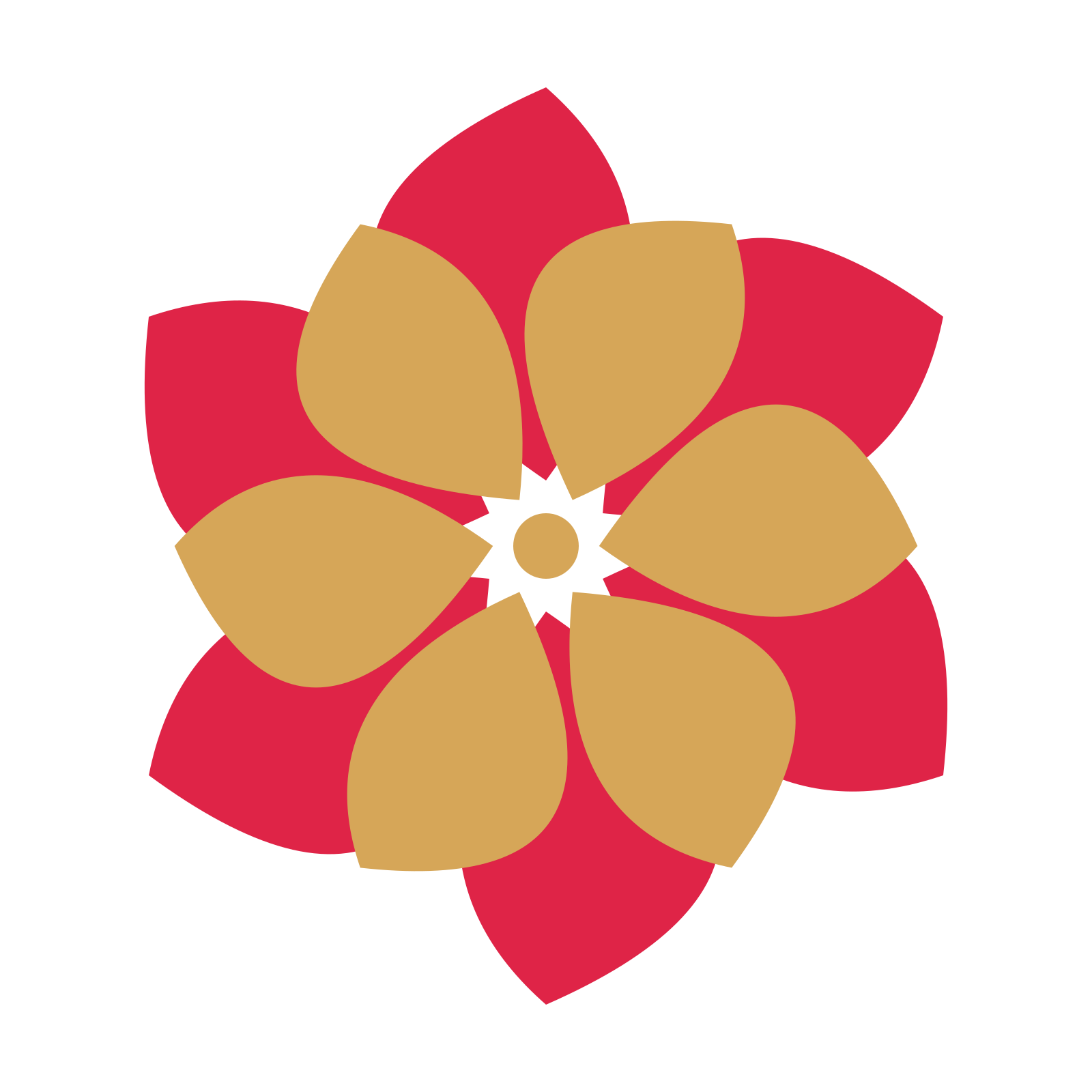 A layered teardrop rosette with 6-fold radial symmetry and 2 alternating rings of petals.