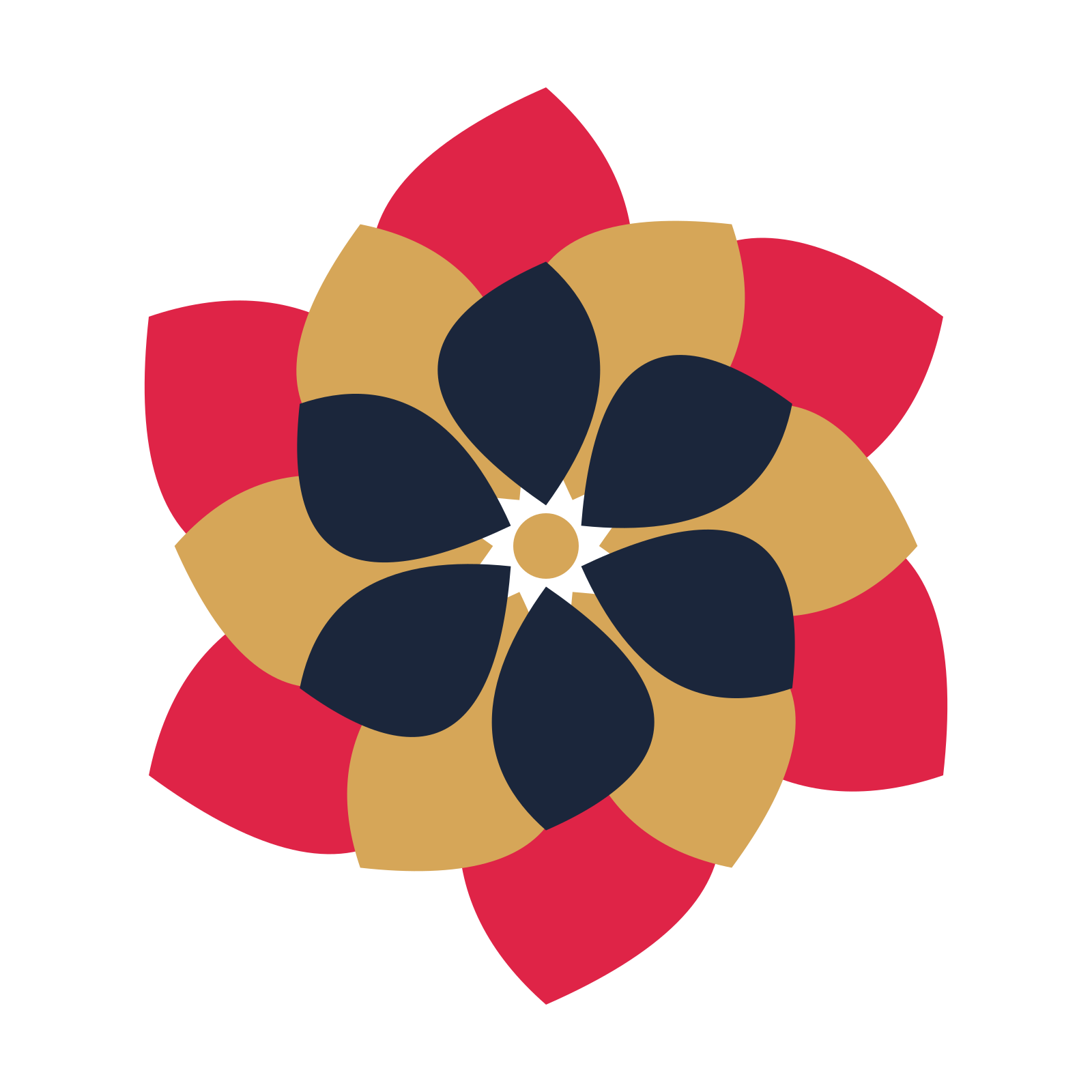 A layered teardrop rosette with 6-fold radial symmetry and 3 alternating rings of petals.