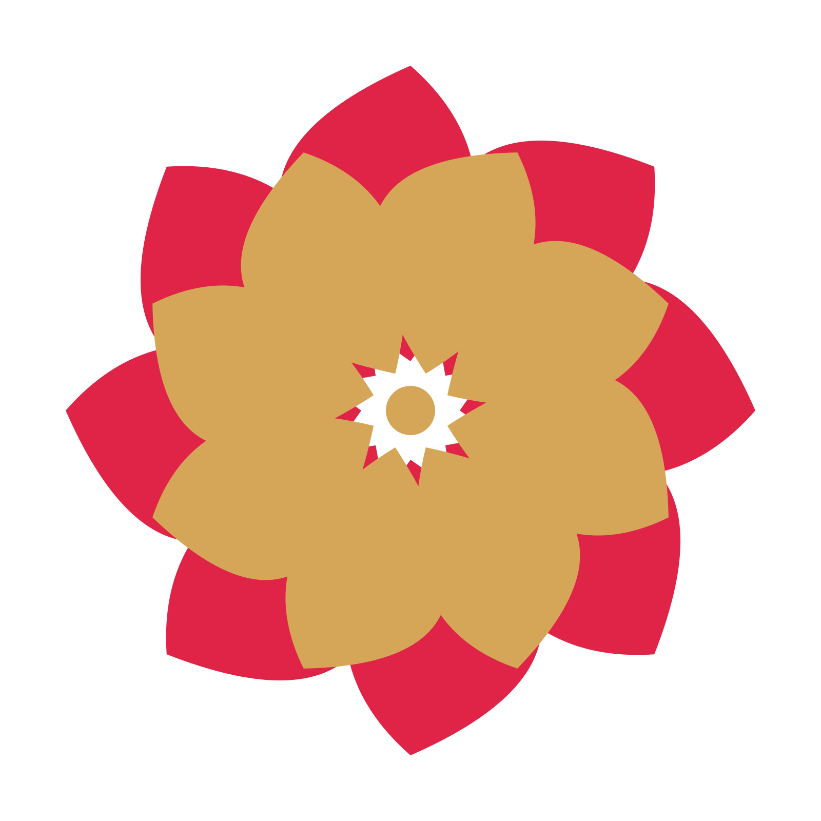 A layered teardrop rosette with 8-fold radial symmetry and 2 alternating rings of petals.