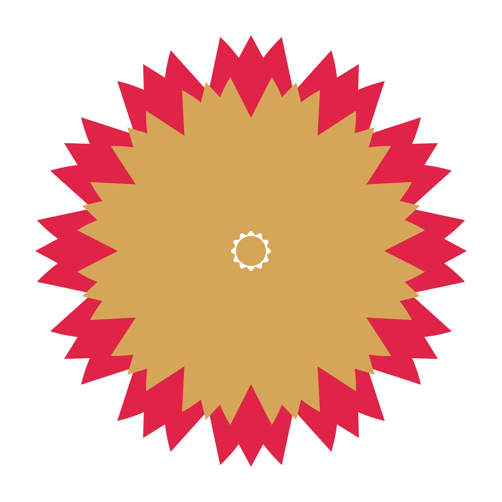 A layered tulip rosette with 12-fold radial symmetry and 2 alternating rings of petals.