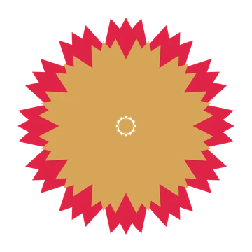 A layered tulip rosette with 12-fold radial symmetry and 2 alternating rings of petals.
