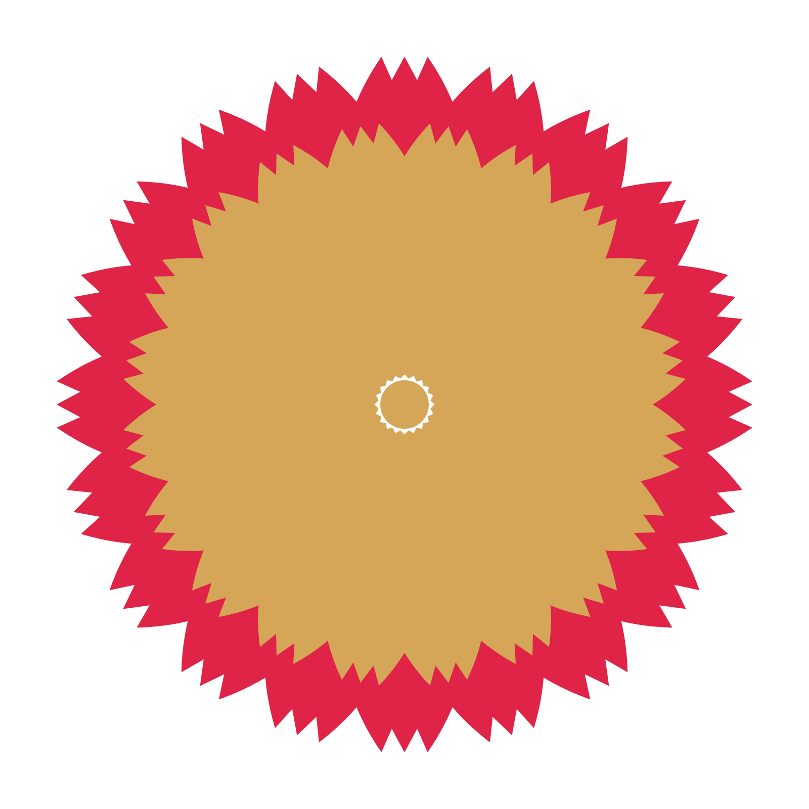 A layered tulip rosette with 20-fold radial symmetry and 2 alternating rings of petals.