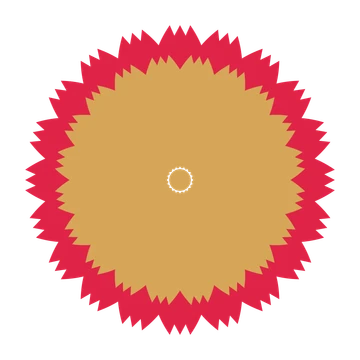 A layered tulip rosette with 20-fold radial symmetry and 2 alternating rings of petals.