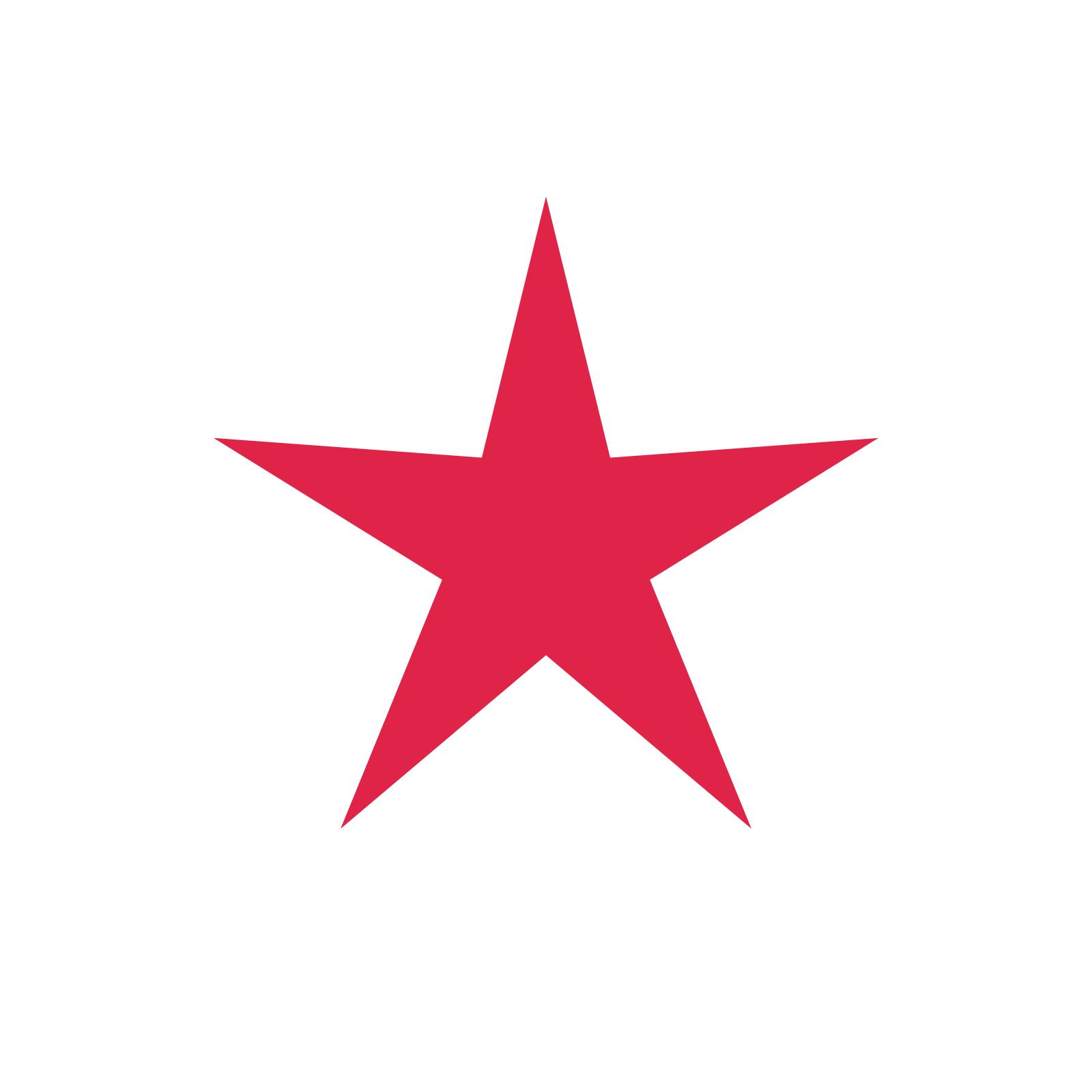 A single composition built around a 5-point sparkle with a slender contour.