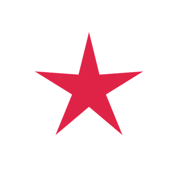 A single composition built around a 5-point sparkle with a slender contour.